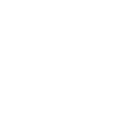 交易CYBER安全吗?